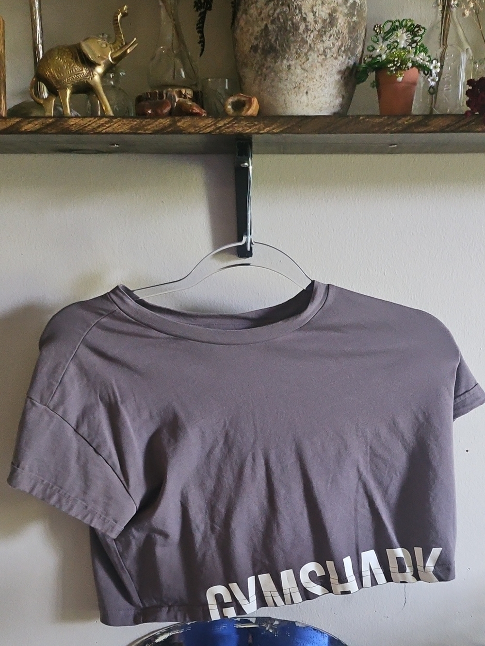Gymshark Cropped Tee in Mauve Gray with White Logo